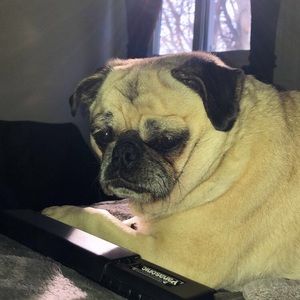 Meet your Posher, Chasity